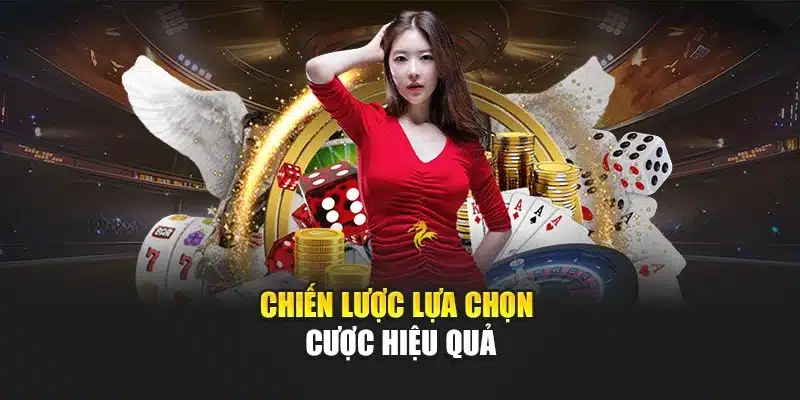 Chiến lược lựa chọn cược hiệu quả