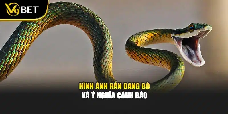 Nằm Mơ Thấy Rắn - V9BET Hé Lộ Điềm Báo, Cơ Hội Và Cảnh Báo 2 Hình ảnh rắn đang bò và ý nghĩa cảnh báo